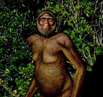 ilustração de Ardipithecus ramidus